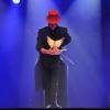 spectacle de Noel - Allan Hart - magie des colombes - magicien