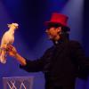 spectacle de Noel - magie des oiseaux - magicien Allan Hart