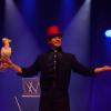 spectacle de Noel - Allan Hart - magie des oiseaux
